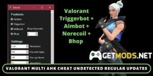 download valorant cheat triggerbot aimbot norecoil bhop ahk script