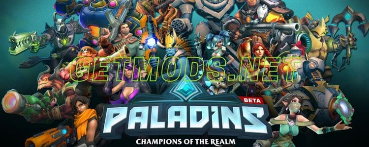 Paladins Game