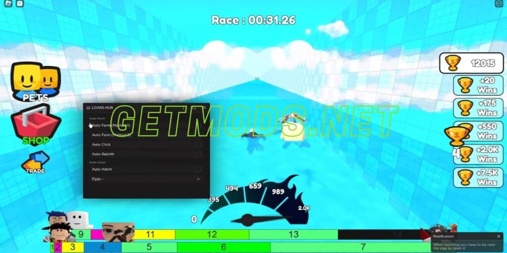 Swim Race Clicker Script