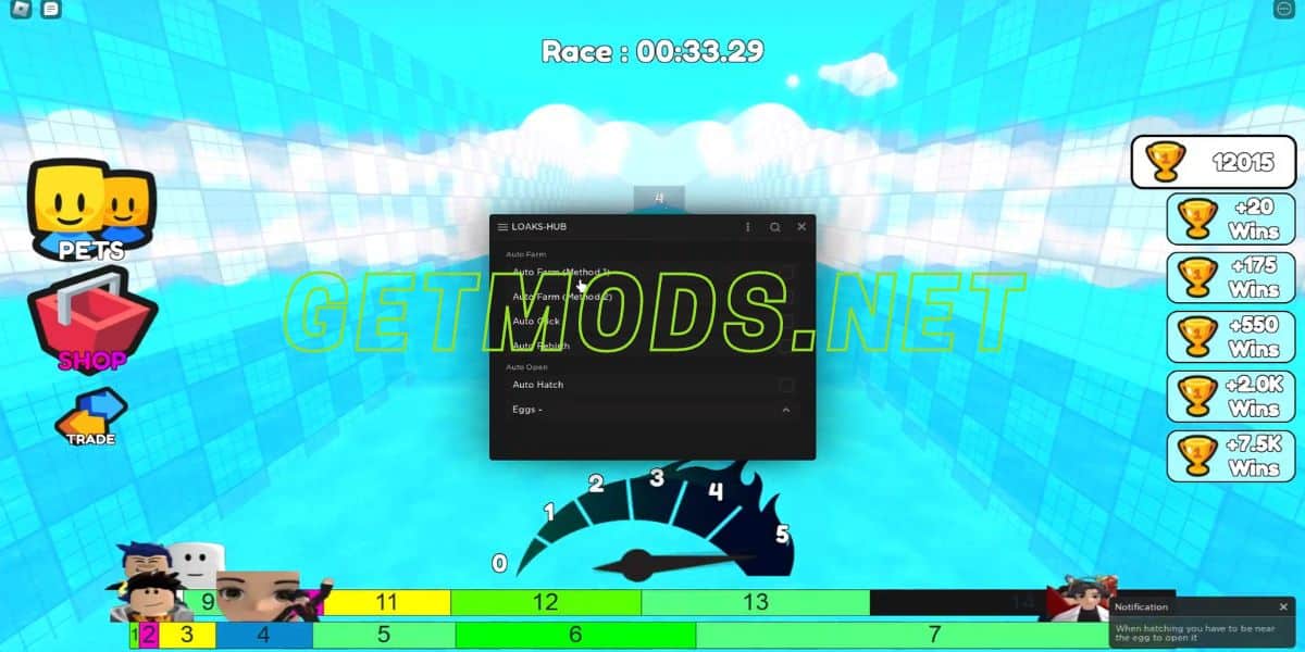 Swim Race Clicker Script