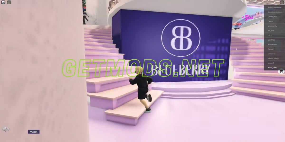 Blueberry Clothing Store Script
