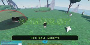 Roji Ball Script