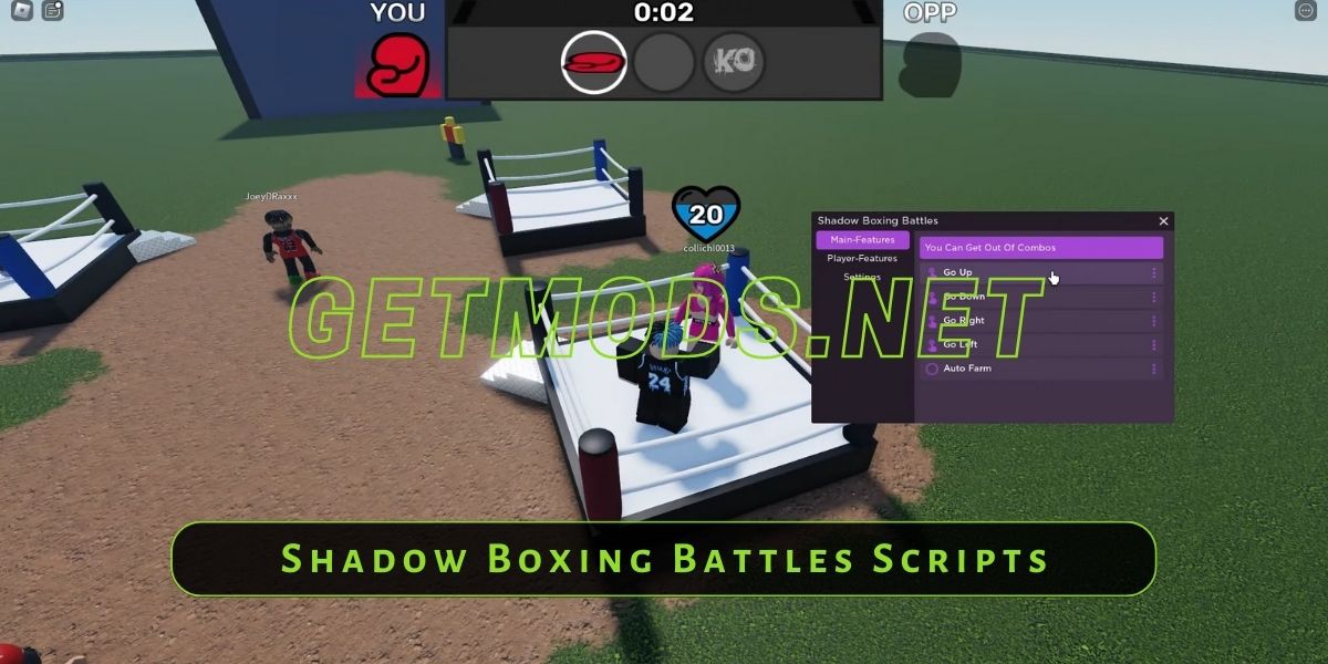 Shadow Boxing Battles Script