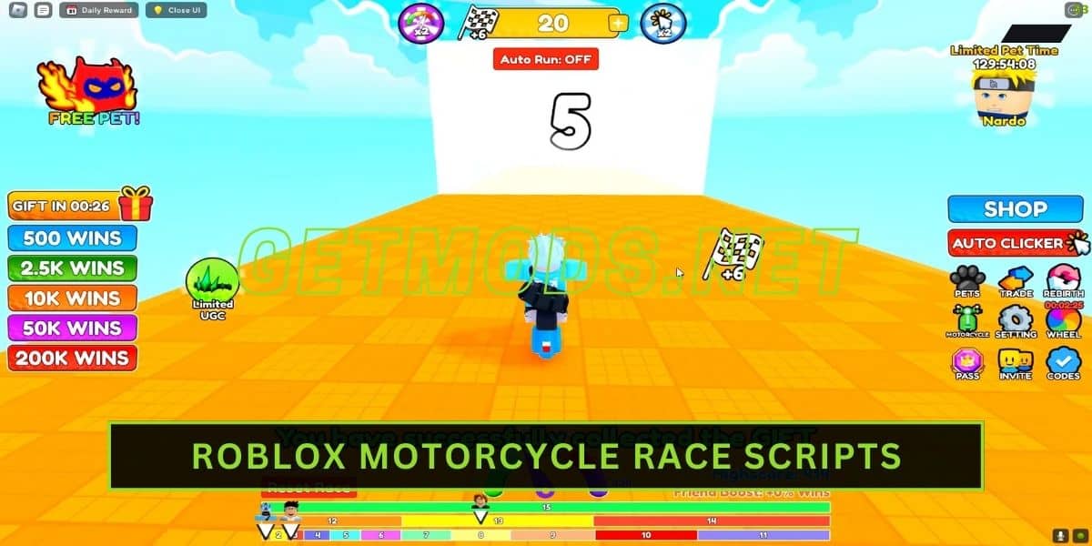 Motorcycle Race Script