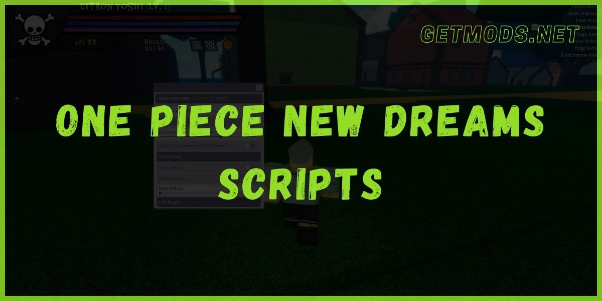 ONE PIECE NEW DREAMS Script