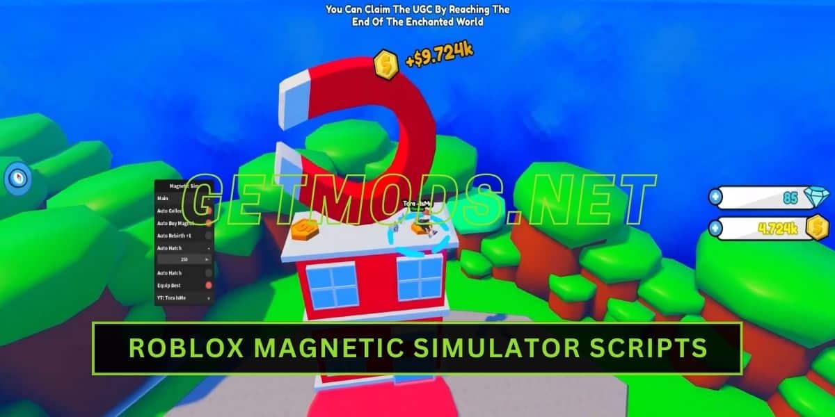 Magnetic Simulator Script
